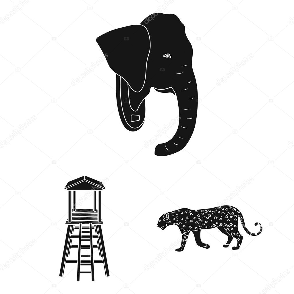 African Safari black icons in set collection for design. Trophies and equipment for Safari vector symbol stock web illustration.