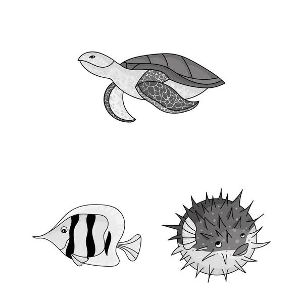 Allerlei zeedieren zwart-wit pictogrammen in set collectie voor design. Vis en schaaldieren symbool voorraad web vectorillustratie. — Stockvector