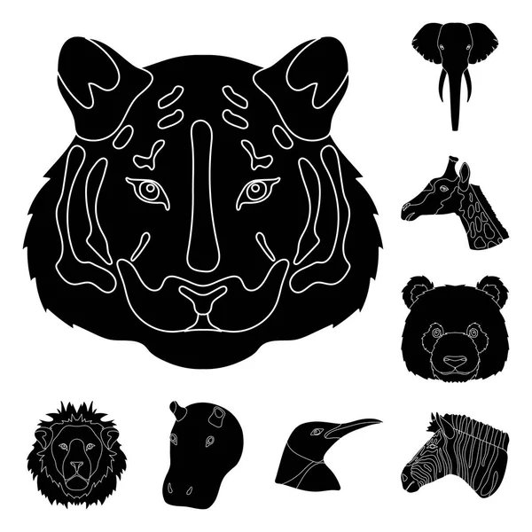 Animaux sauvages icônes noires dans la collection ensemble pour le design. Illustration web du symbole vecteur mammifère et oiseau . — Image vectorielle