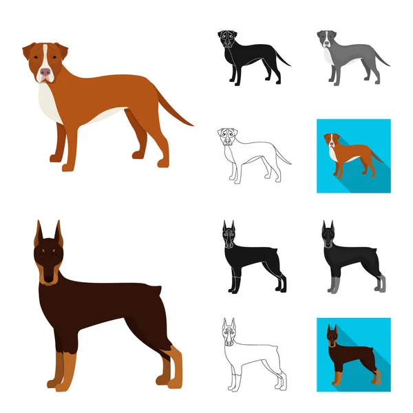 Raças de cães desenhos animados, preto, plano, monocromático, ícones de contorno na coleção de conjuntos para design.Dog animal de estimação símbolo web ilustração . — Vetor de Stock