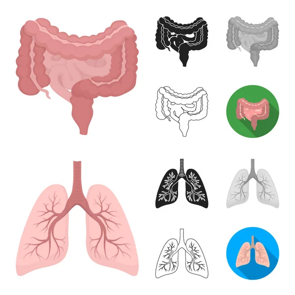 Bir insan çizgi film, siyah, düz, tek renkli, iç organların set koleksiyonu tasarım için simgeleri anahat. Anatomi ve tıp vektör simge stok web çizim.