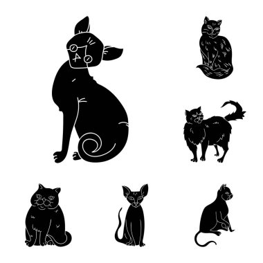 Doğurmak-in cats set koleksiyonu tasarım için simgeler siyah. Evde beslenen hayvan kedi vektör simge stok web çizim.