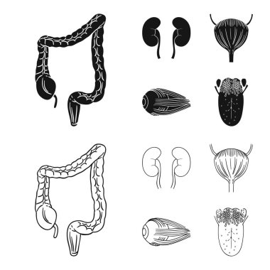 Böbrek, mesane, gözü, dili. İnsan organlarını toplama simgeler siyah, anahat stili vektör simge stok çizim web içinde ayarla..