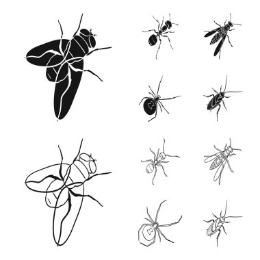 Böcek bir Eklem bacaklılar, bir osa, bir örümcek, Hamam böceği. Böcekler toplama simgeler siyah, anahat stili vektör simge stok izometrik çizim web içinde ayarla..