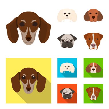 Farklı doğurmak-in köpek ağızlık. Köpek doğurmak dachshund, fino, beagle, pug çizgi film, düz stil vektör simge stok çizim web toplama simgeler ayarla.