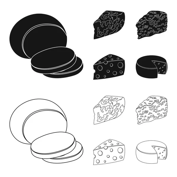 Parmesano, roquefort, maasdam, gauda.Different tipos de queso conjunto colección iconos en negro, contorno estilo vector símbolo stock ilustración web . — Vector de stock