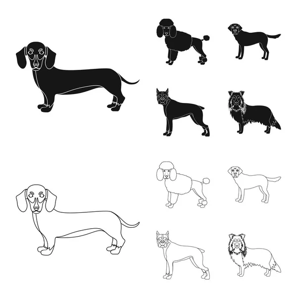 Kutya fajták fekete, vázlat ikonok beállítása gyűjtemény a design. Kutya kisállat vektor szimbólum állomány honlap illusztráció. — Stock Vector