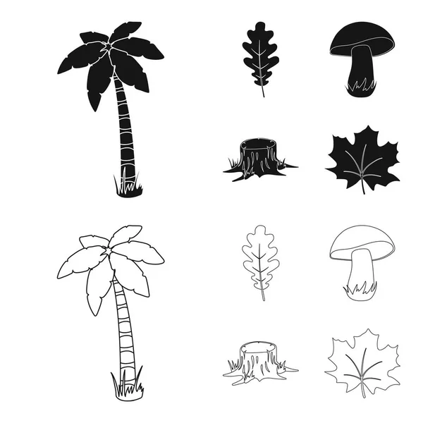 Feuille de chêne, champignon, souche, feuille d'érable. Ensemble forestier icônes de la collection en noir, contour style vectoriel symbole illustration web . — Image vectorielle