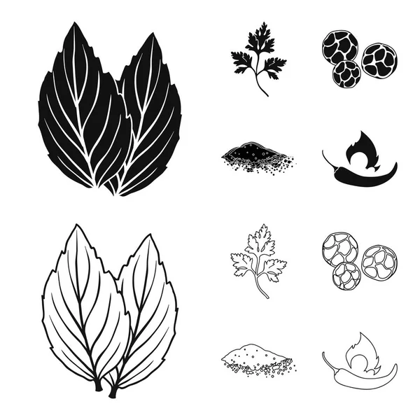 Ptrushka, pepe nero, paprica, peperoncini. Herbs and spices set collection icons in black, outline style vector symbol stock illustration web . — Vettoriale Stock