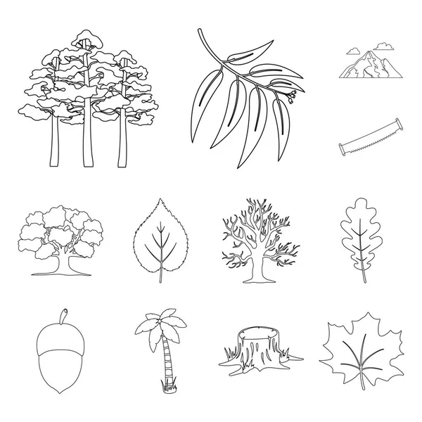 Ícones de contorno de floresta e natureza na coleção de conjuntos para design. Floresta vida vetor símbolo web ilustração . — Vetor de Stock
