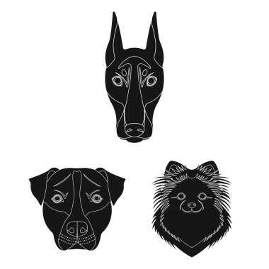 Köpek ırkları set koleksiyonu tasarım için simgeler siyah. Bir köpek vektör simge stok web illüstrasyon namlu.