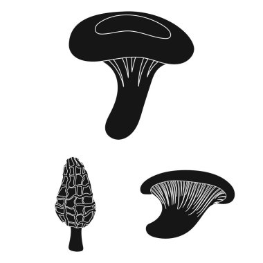 Zehirli ve yenilebilir mantar siyah simgeler set koleksiyonu tasarım için. Mantar farklı türde sembol stok web illüstrasyon vektör.