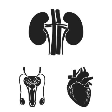 Tasarımı için iç organları bir insan siyah simgelerin ayarlamak koleksiyonu. Anatomi ve tıp vektör simge stok web çizim.