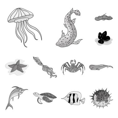 Deniz hayvanları tek renkli simgeler set koleksiyonu tasarım için çeşitli. Balık ve kabuklu deniz ürünleri sembol stok web illüstrasyon vektör.