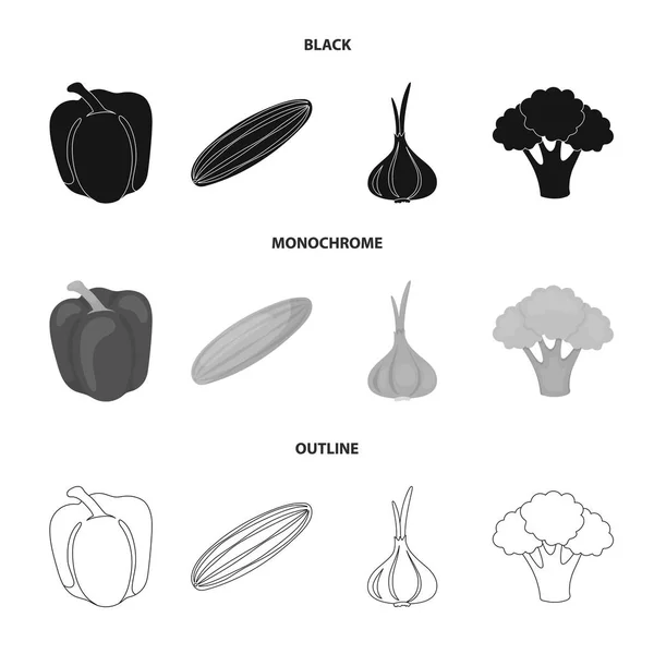 Röd paprika, grön gurka, vitlök, kål. Grönsaker som samling ikoner i disposition stil vektor symbol stock illustration web, svart, svartvitt. — Stock vektor