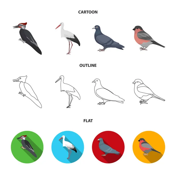 Pájaro carpintero, cigüeña y otros. Pájaros conjunto colección iconos en dibujos animados, contorno, plano estilo vector símbolo stock ilustración web . — Archivo Imágenes Vectoriales