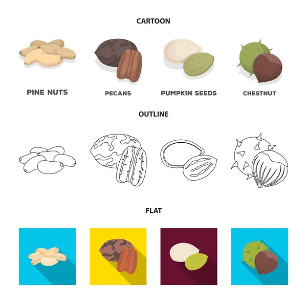 Pecan, pinhões, sementes de abóbora, castanha.Diferentes tipos de nozes definir ícones de coleção em desenhos animados, contorno, estilo plano símbolo vetorial web ilustração . — Vetor de Stock