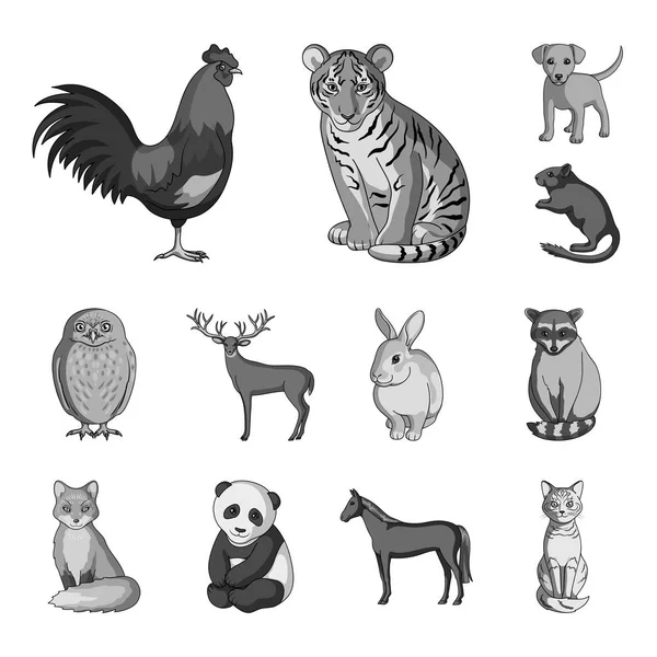 Reális állatok monokróm ikonok beállítása gyűjtemény a design. Vad és belföldi állatok vector szimbólum állomány honlap illusztráció. — Stock Vector