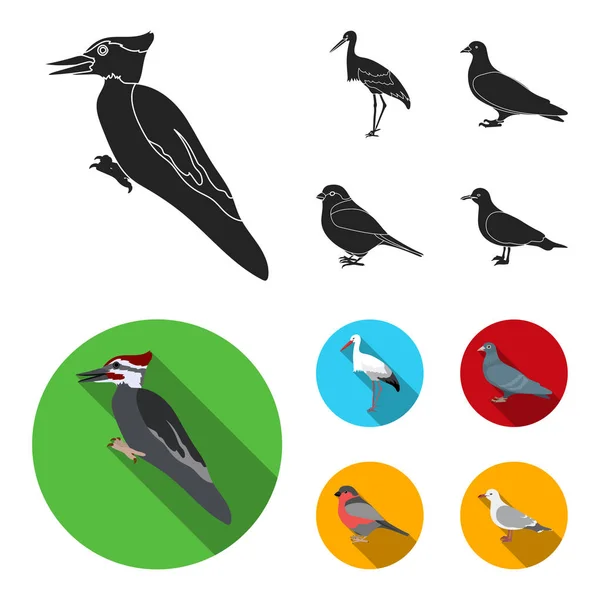 Specht, Storch und andere. Vögel setzen Sammlung Symbole in schwarz, flachen Stil Vektor Symbol Stock Illustration Web. — Stockvektor