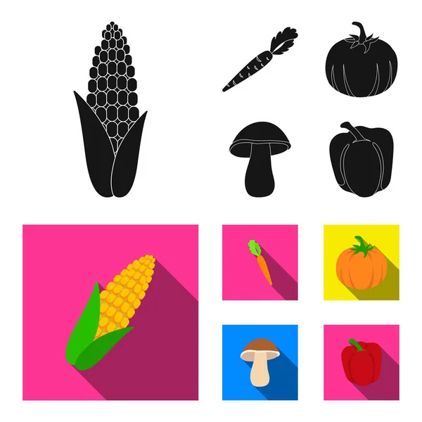Кукурузная кукуруза, витаминная морковь с верхушками, тыква, лесные грибы. Овощи установить иконки коллекции в черном, плоском стиле векторные символы фондового иллюстрации веб . — стоковый вектор