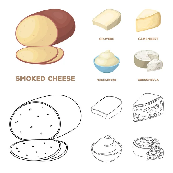 Gruyère, camembert, mascarpone, gorgonzola.Different types de fromage ensemble icônes de la collection dans la bande dessinée, contour de style vectoriel symbole illustration web . — Image vectorielle