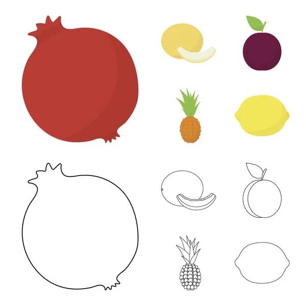 Melone, Pflaume, Ananas, Zitronenfrüchte Set Sammlung Symbole in Cartoon, umreißen Stil Vektor Symbol Stock Illustration Web. — Stockvektor