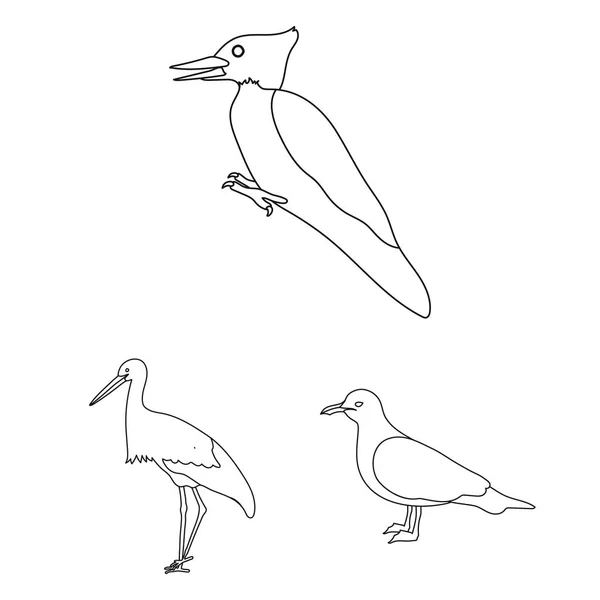 Arten von Vögeln umreißen Symbole in Set-Kollektion für Design. Haus und Wildvogel Vektor Symbol Stock Web Illustration. — Stockvektor