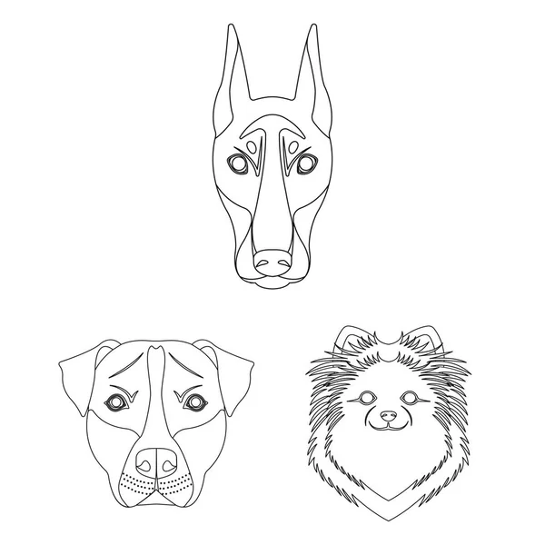 Las razas de perros esbozan iconos en la colección de conjuntos para el diseño.Hocico de un perro vector símbolo stock web ilustración . — Vector de stock