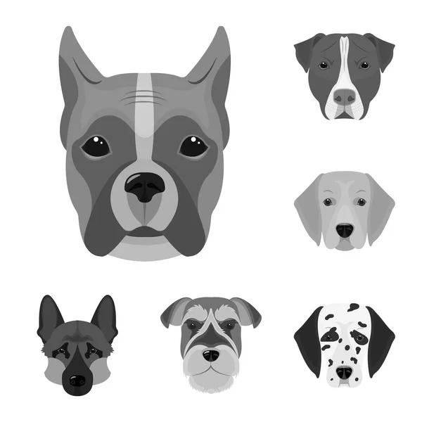 Raças de cães ícones monocromáticos na coleção de conjuntos para design.Muzzle de um cão símbolo vetorial ilustração web estoque . — Vetor de Stock
