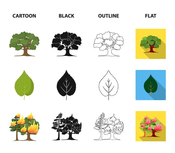 Dağ Bulut Ağaç Dal Yaprak Orman Koleksiyonu Icons Set Çizgi — Stok Vektör