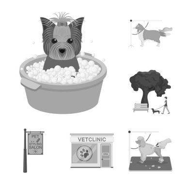 Set koleksiyonu tasarım için evde beslenen hayvan tek renkli simgeler. Bakım ve eğitim sembol stok web illüstrasyon vektör.