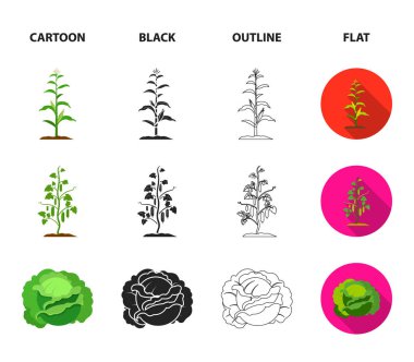 Mantar, çilek, Mısır, salatalık. Bitki koleksiyonu Icons set çizgi film, siyah, anahat, düz stil vektör simge stok çizim web.