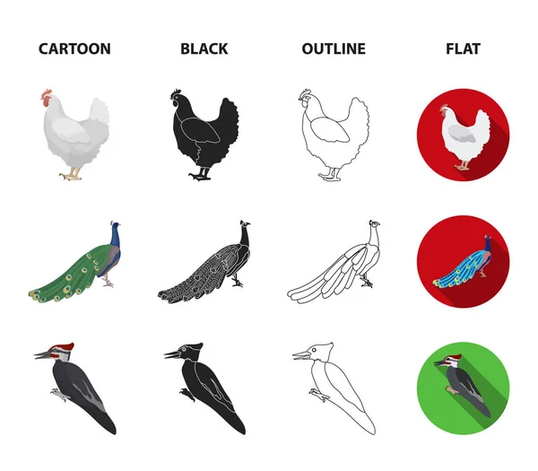 Krähe, Strauß, Huhn, Pfau. Vögel setzen Sammlung Symbole in Cartoon, schwarz, Umriss, flachen Stil Vektor Symbol Stock Illustration Web. — Stockvektor