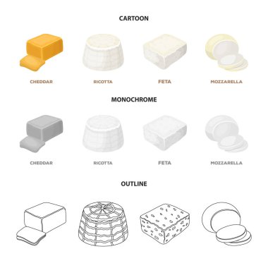 Mozzarella peyniri, beyaz peynir, kaşar peyniri, ricotta. Peynir farklı türde koleksiyon Icons set çizgi film, anahat, tek renkli stil vektör simge stok çizim web.