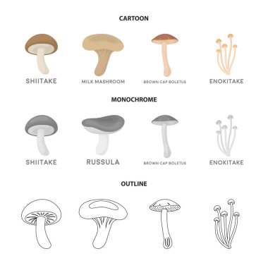 Shiitake, kahverengi kap çörek, enokitake, süt. koleksiyon Icons set çizgi film, anahat, tek renkli stil vektör simge stok çizim .