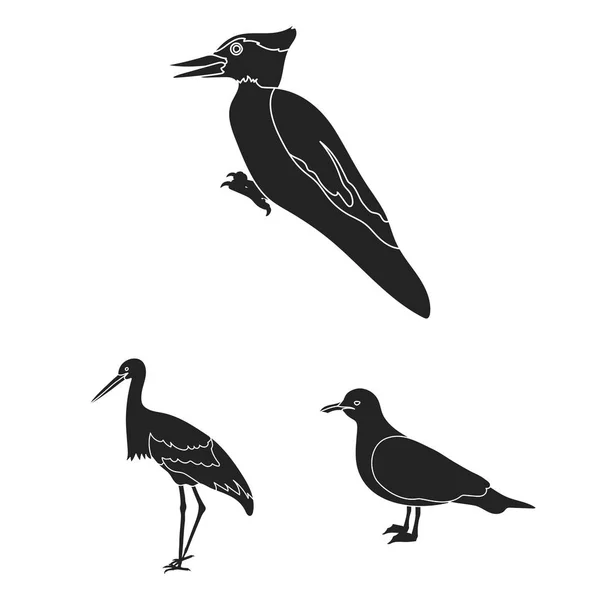 Tipos de pájaros iconos negros en la colección de conjuntos para el diseño. Inicio y aves silvestres vector símbolo stock web ilustración . — Archivo Imágenes Vectoriales