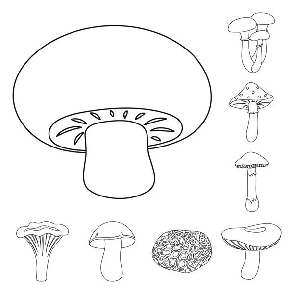 Icônes de contour de champignons toxiques et comestibles dans la collection d'ensemble pour la conception. Différents types de champignons vecteur symbole stock illustration web . — Image vectorielle