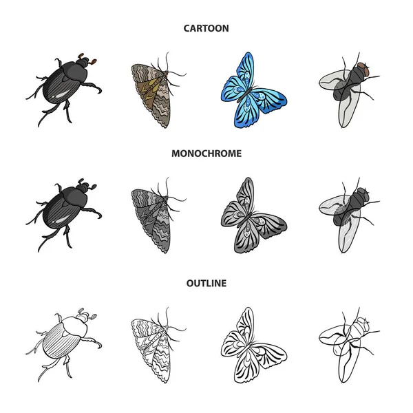 Arthropods insect beetle, moth, butterfly, fly. Insects set collection icons in cartoon,outline,monochrome style vector symbol stock isometric illustration web. — Stock Vector