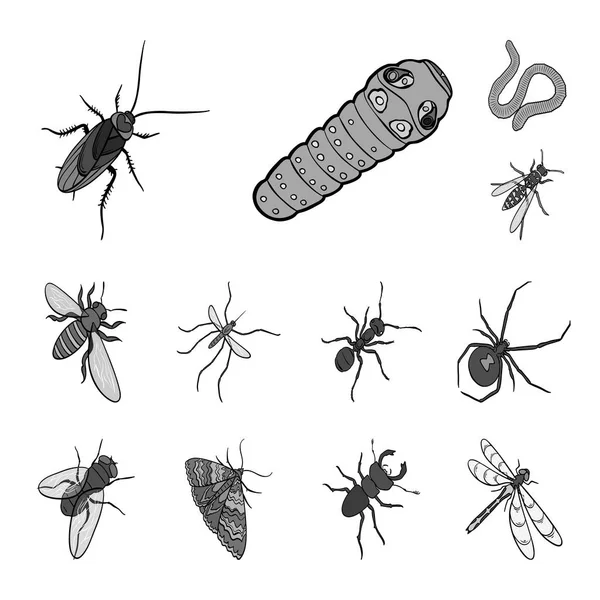 Different kinds of insects monochrome icons in set collection for design. Insect arthropod vector isometric symbol stock web illustration. — Stock Vector