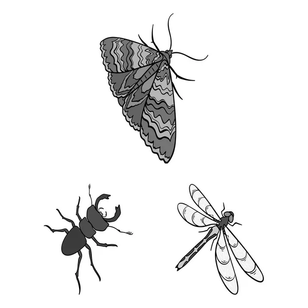 Different kinds of insects monochrome icons in set collection for design. Insect arthropod vector isometric symbol stock web illustration. — Stock Vector