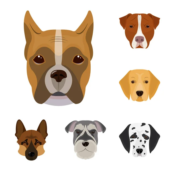 Perro razas iconos de dibujos animados en la colección de conjuntos para design.Muzzle de un perro vector símbolo stock web ilustración . — Vector de stock