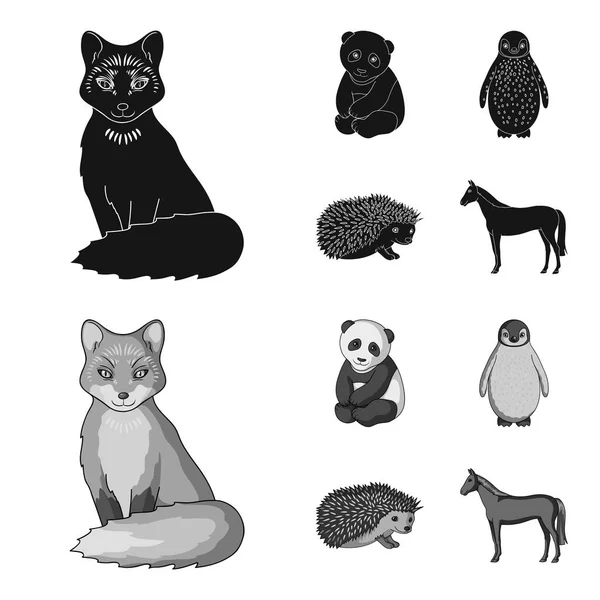 Renard, panda, hérisson, pingouin et autres animaux.Animaux mis icônes de la collection en noir, symbole vectoriel de style monochrome illustration web . — Image vectorielle