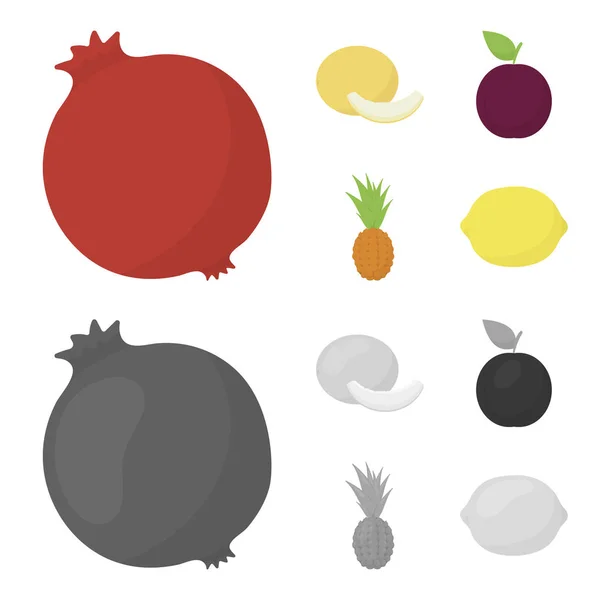 Melón, ciruela, piña, limon.Fruits conjunto de iconos de la colección en la historieta, el estilo monocromo vector símbolo stock illustration web . — Vector de stock