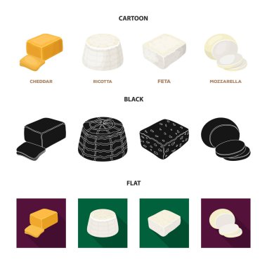Mozzarella peyniri, beyaz peynir, kaşar peyniri, ricotta. Farklı peynir toplama simgeler çizgi film, siyah, düz stil vektör simge stok çizim web içinde ayarla..