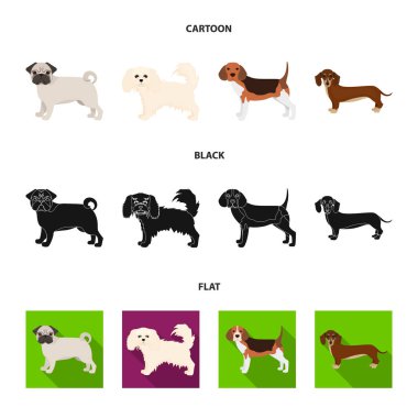 Köpek ırkları set koleksiyonu tasarım için çizgi film, siyah, düz simgeler. Köpek evde beslenen hayvan vektör simge stok web çizim.