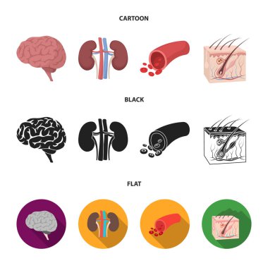 Beyin, böbrek, kan damarı, cilt. Organ toplama simgeler çizgi film, siyah, düz stil vektör simge stok çizim web içinde ayarla..