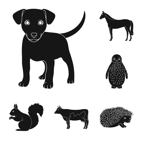 Realistické zvířat černé ikony v nastavení kolekce pro design. Divoká a domácí zvířata vektorové ilustrace symbolů akcií web. — Stockový vektor