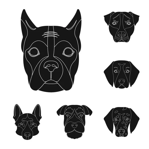 Köpek ırkları set koleksiyonu tasarım için simgeler siyah. Bir köpek vektör simge stok web illüstrasyon namlu.