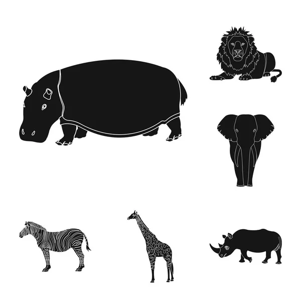 Diversi animali icone nere nella collezione set per il design. Illustrazione web stock simbolo di uccello, predatore ed erbivoro . — Vettoriale Stock