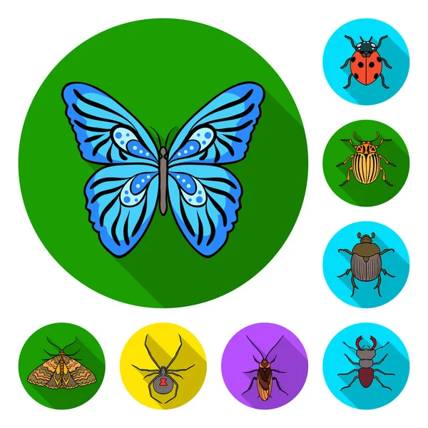 Různé druhy hmyzu ploché ikony v nastavení kolekce pro design. Hmyzu členovců vektor symbol akcií web ilustrace. — Stockový vektor